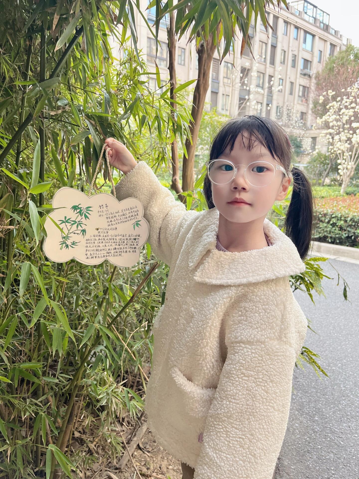 植物名牌制作:小学一年级植树节的活动