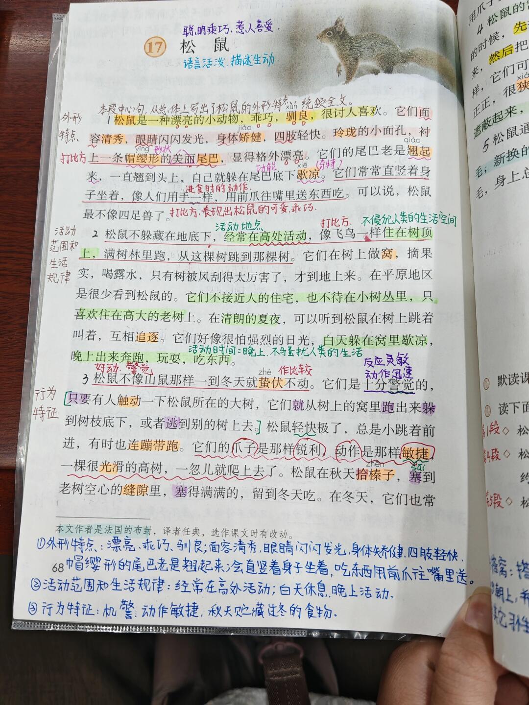 五上语文17《松鼠》课文批注