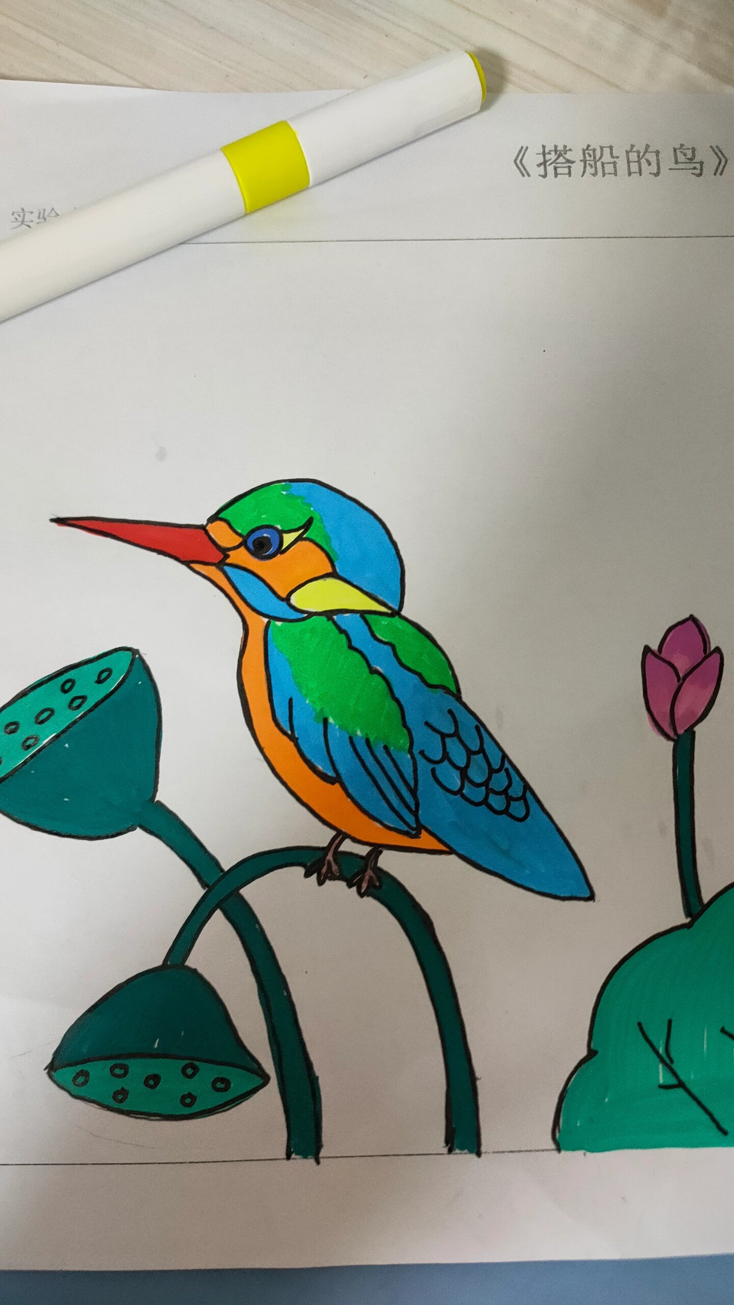 三年级搭船的鸟翠鸟小卡画