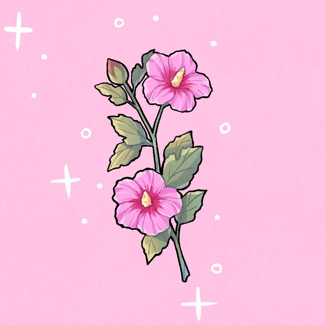 花朵拟人|q版|木槿花 木槿花的q版拟人来啦 78木槿花78花语:坚韧