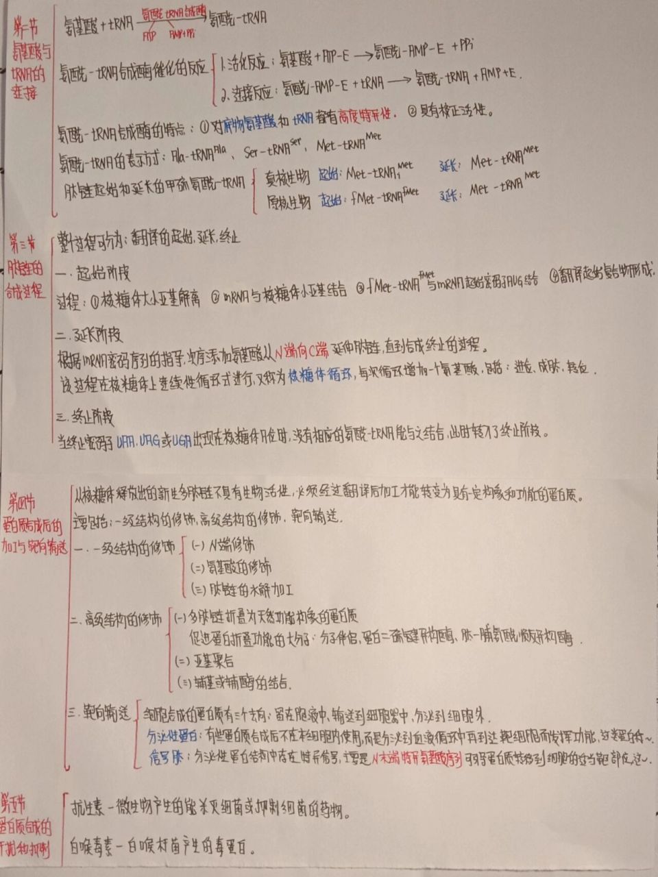 生化思维导图(第十五章 蛋白质的合成)