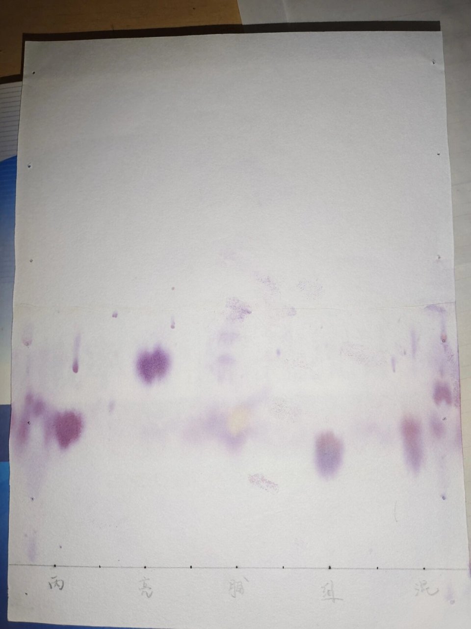 氨基酸的鉴定分离——纸层析法 味道好难闻哦