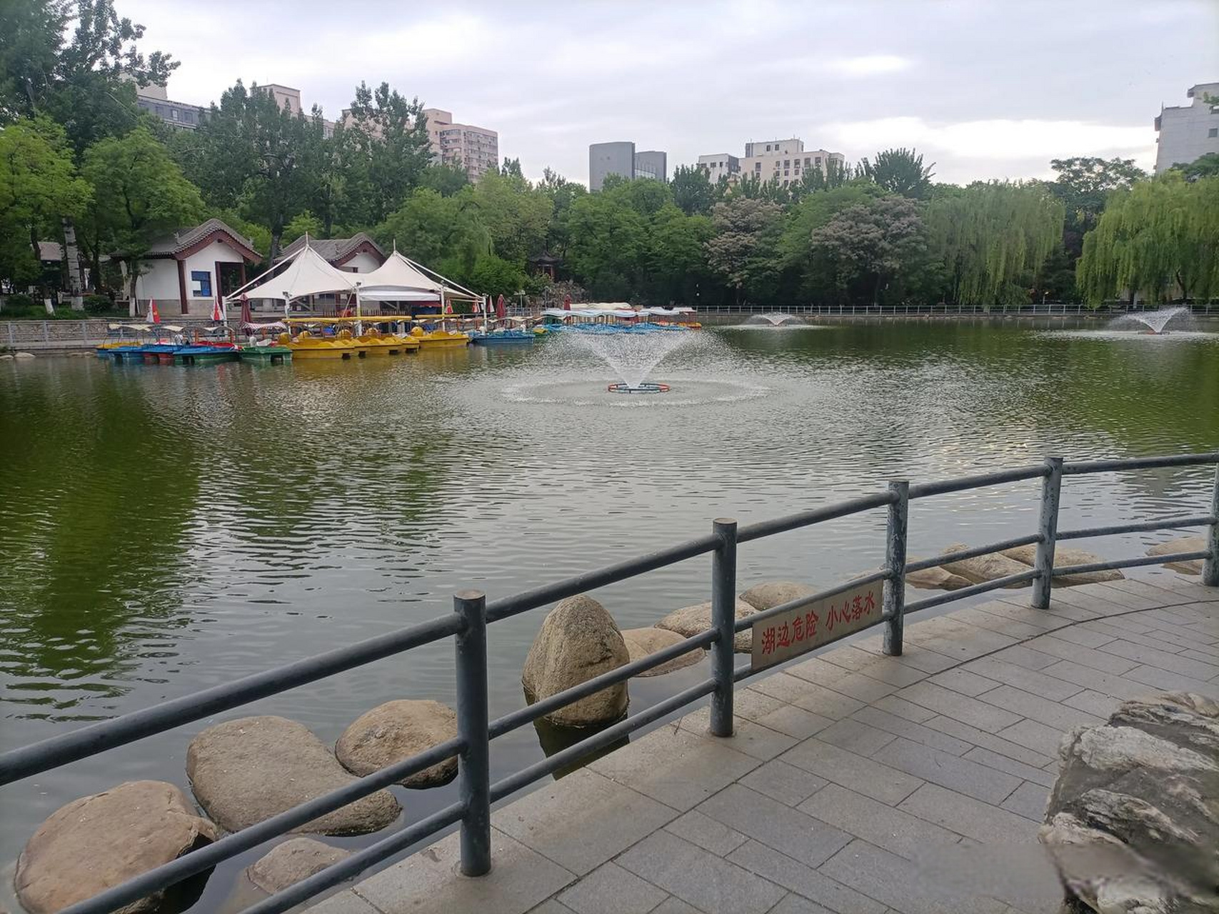 西安莲湖公园这地方风景还是挺不错的,公园不大,适合市民朋友晨练