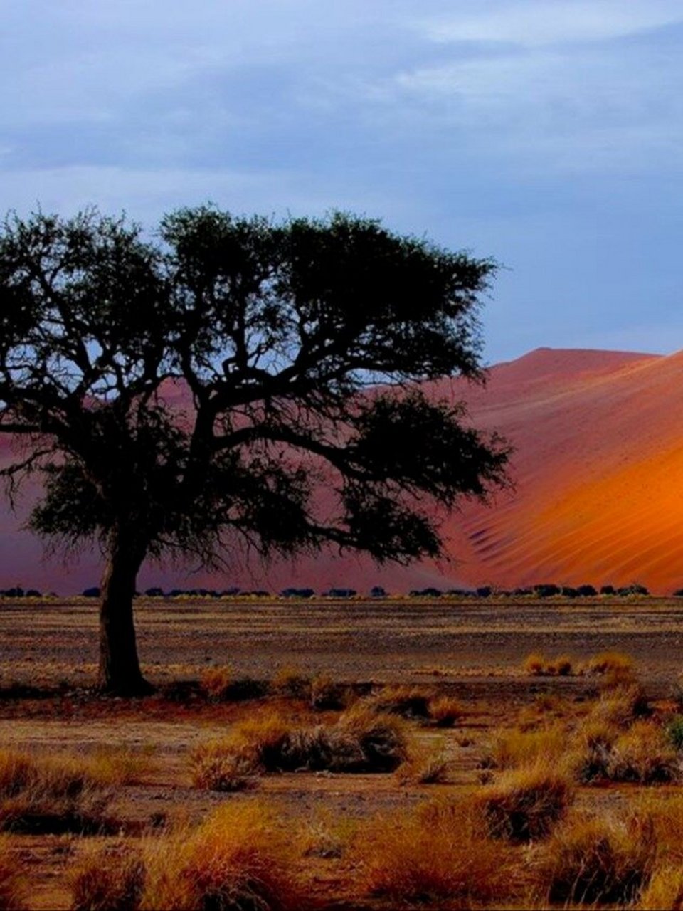 纳米比亚|45号沙丘77死亡谷77箭袋树星空 非洲纳米比亚南部,终年