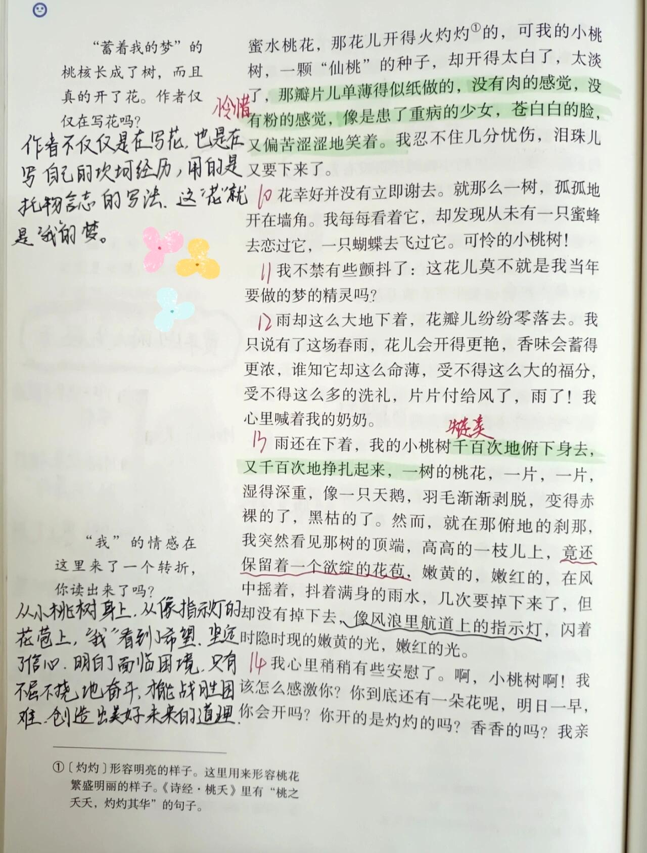 一棵小桃树课文笔记图片