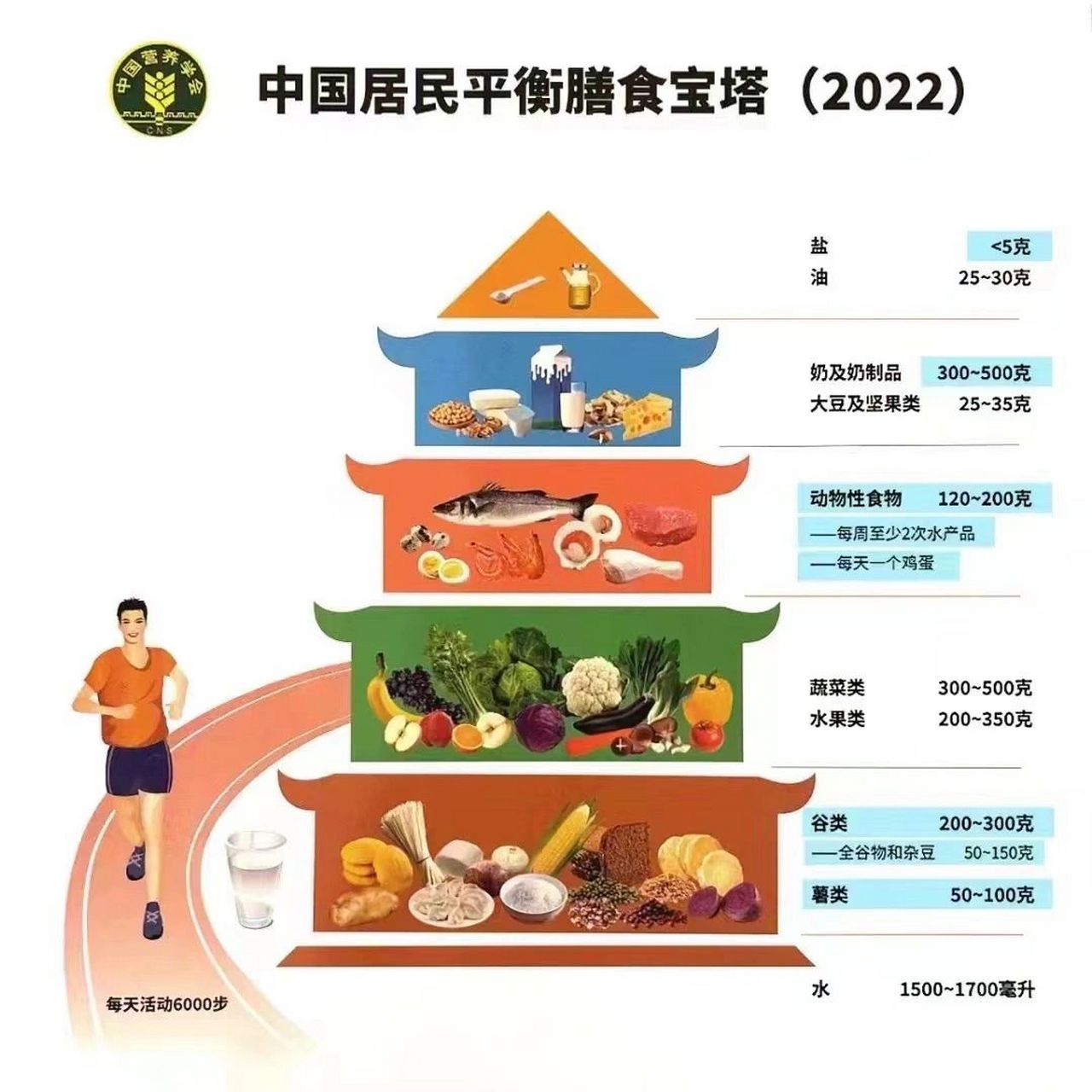 人体饮食金字塔图片