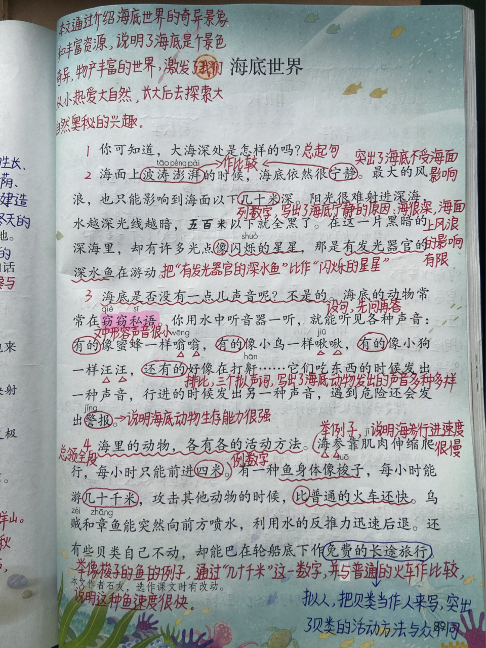 三年级语文下册 第23课 《海底世界》