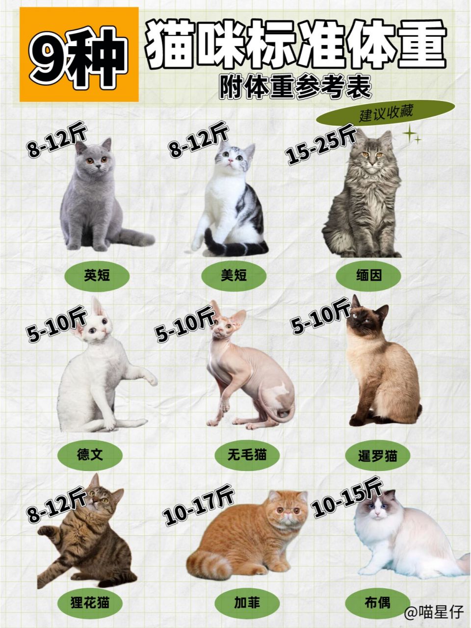 猫的正常体重范围表图片