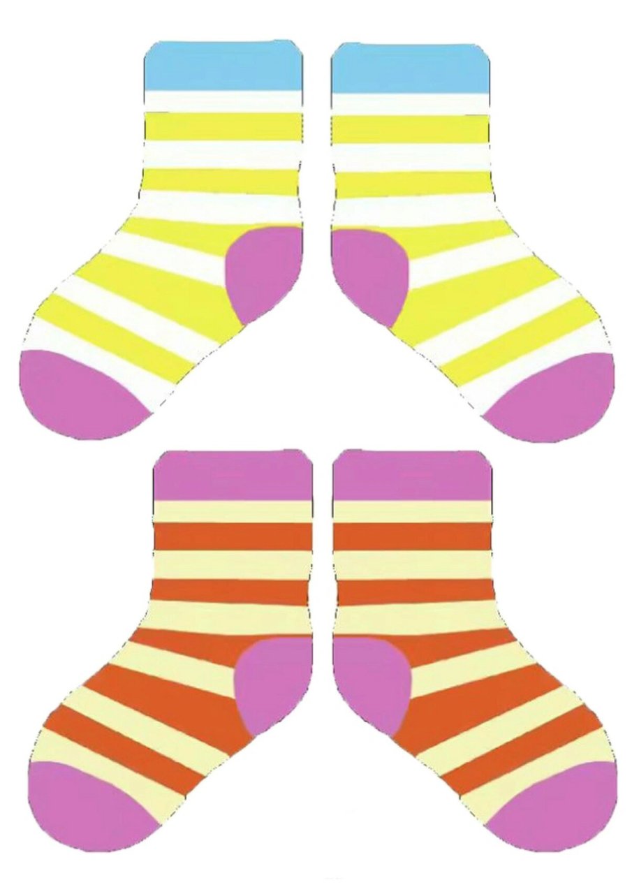 自制玩教具·鞋子袜子配对73