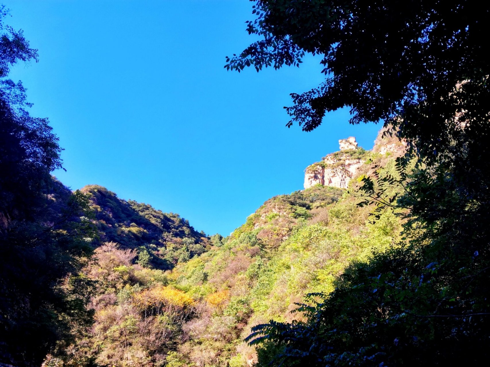 易县千佛山森林公园 早上去的比较早,向上爬的路程基本没人,下山时候