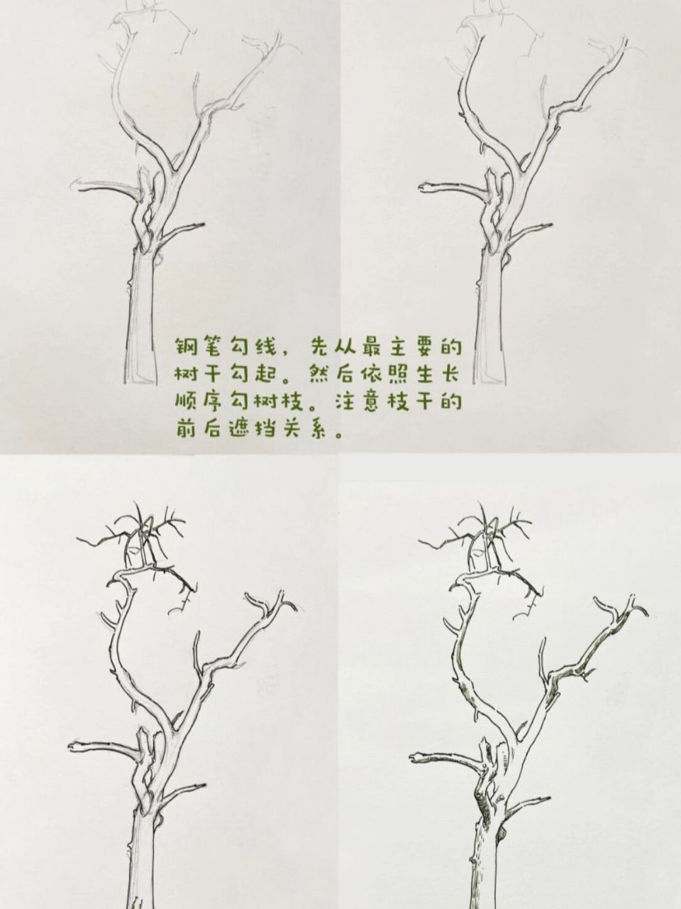 树枝素描树干图片