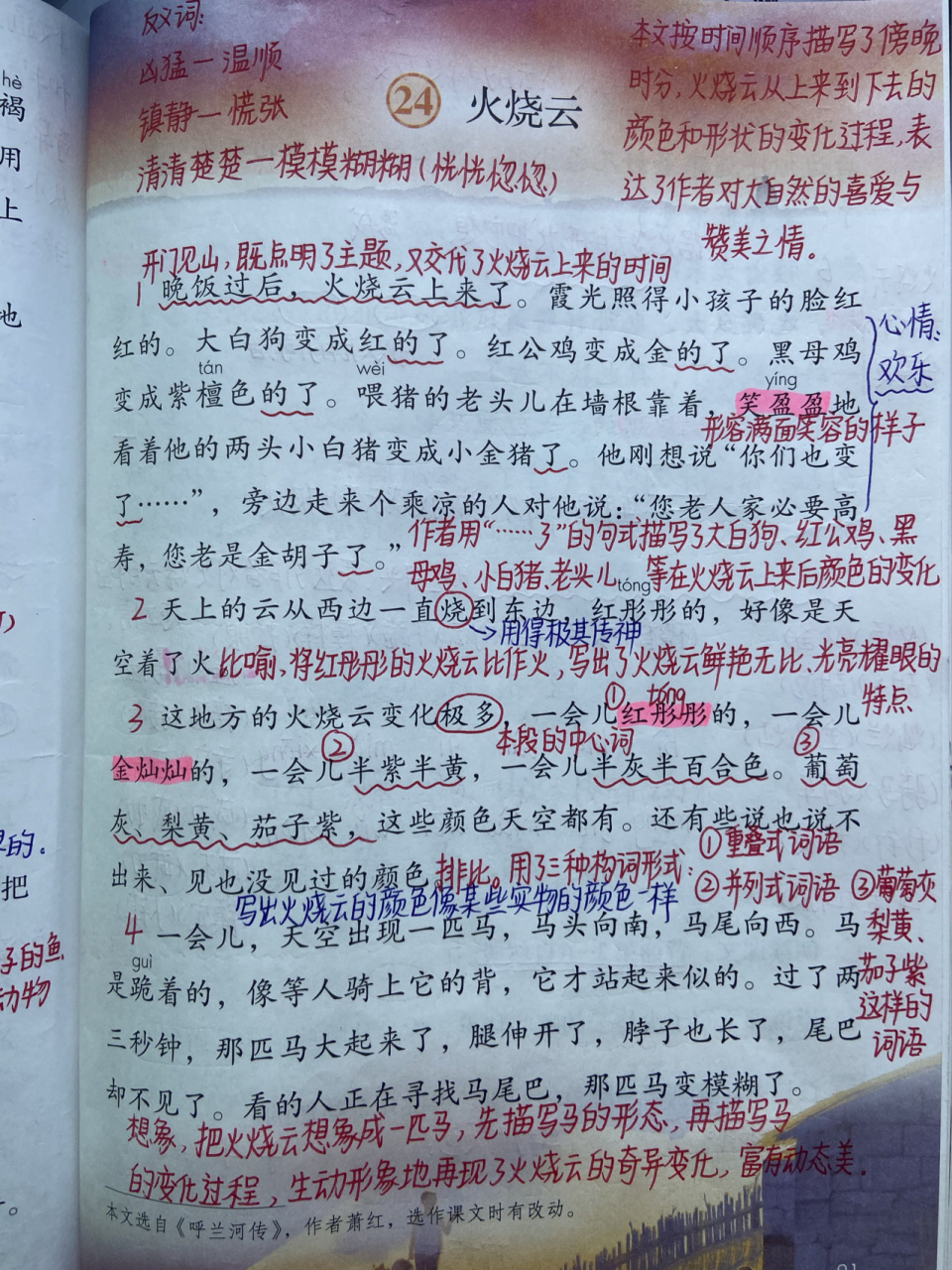 三年级语文下册 第24课 《火烧云》