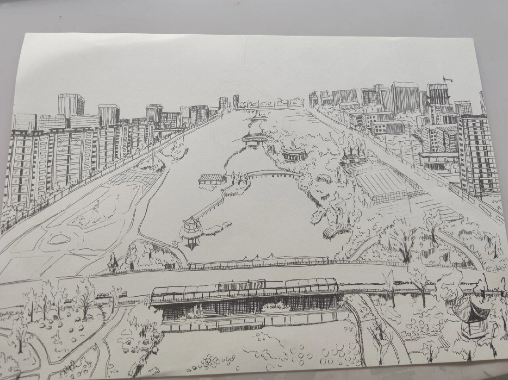 兰陵兰溪湿地公园 手绘