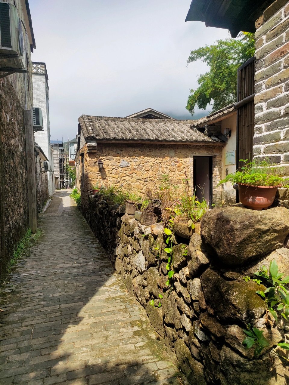 海陵岛谷寮村 海陵岛真的来了好多回了,除了沙滩都玩过,这次来了谷寮