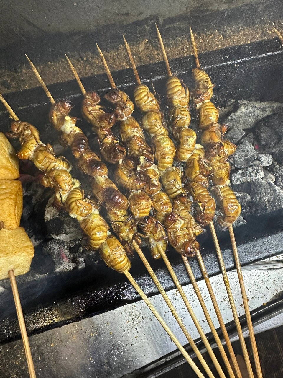 烧烤这个比较好 喜欢谁家的烧烤味儿  就去谁家烤 油炸知了  一定要好