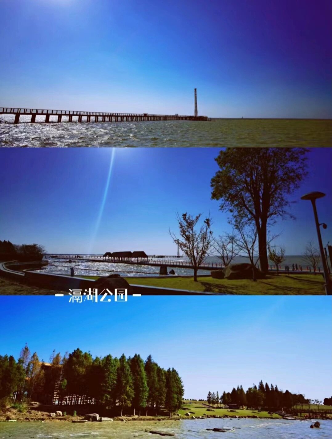 【新龙生态林】 导航:新龙生态林或者地铁1号线底站门票:免费 tips