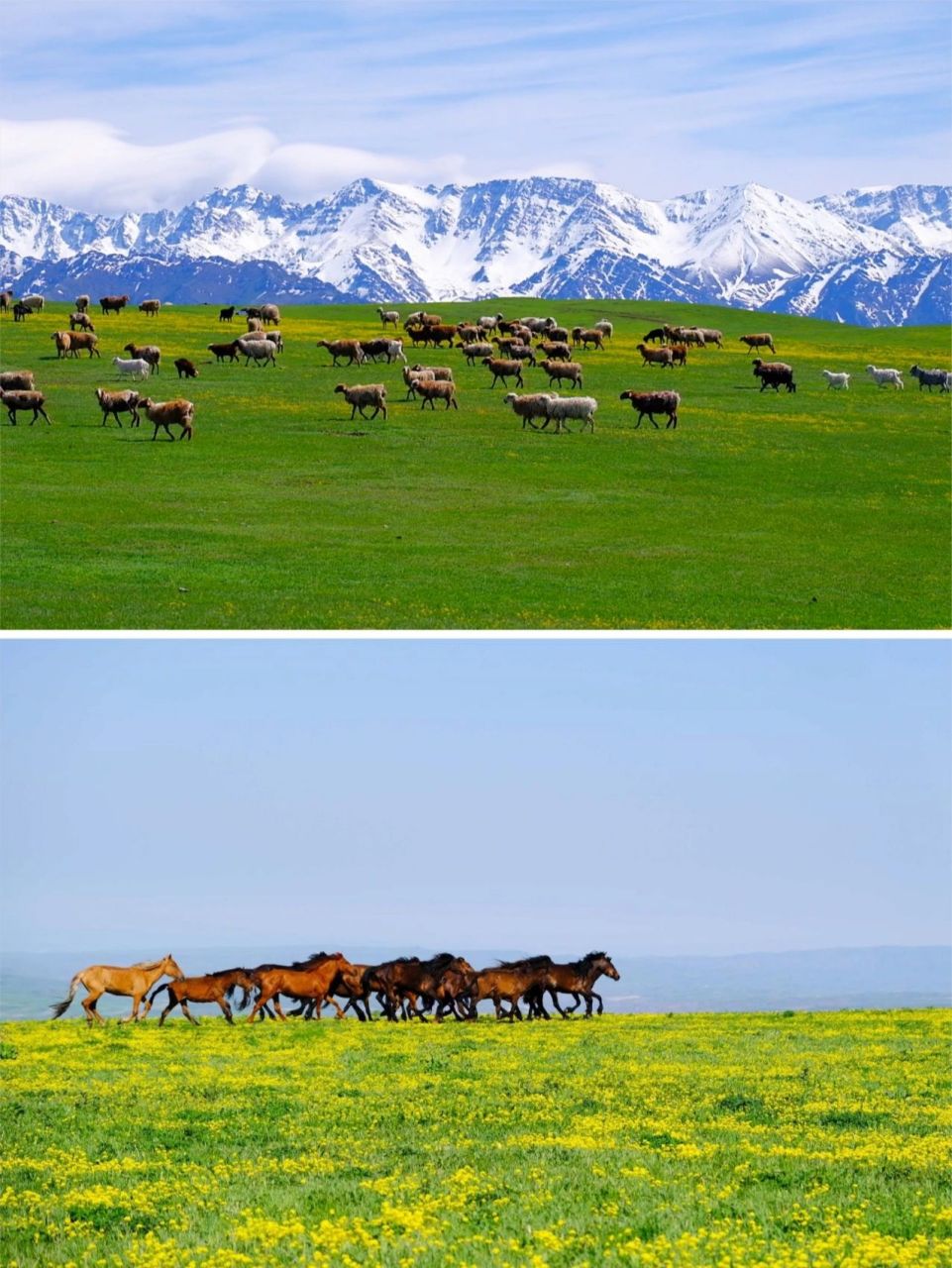 裕民县旅游景点图片