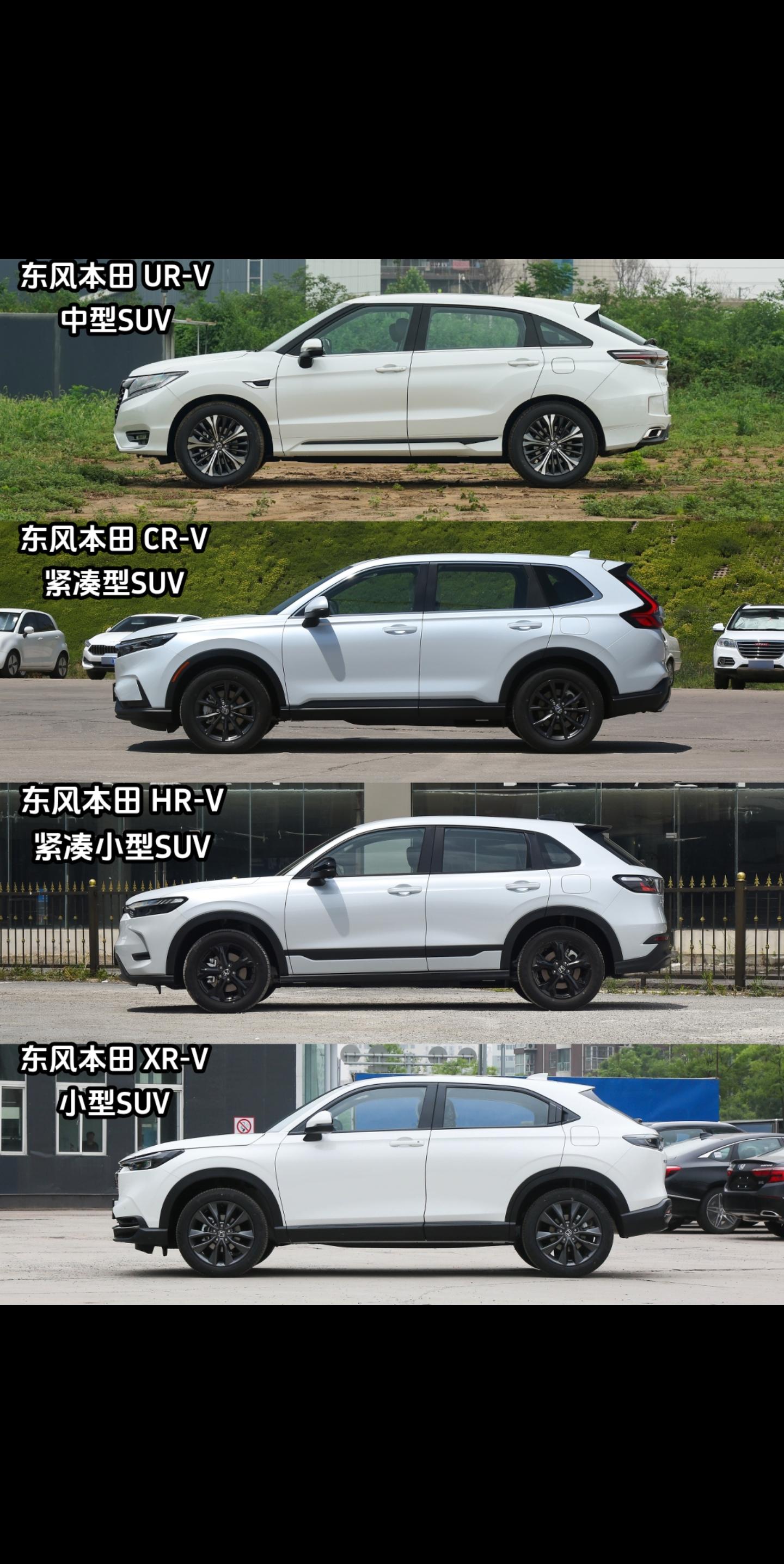 车型种类轿车suv