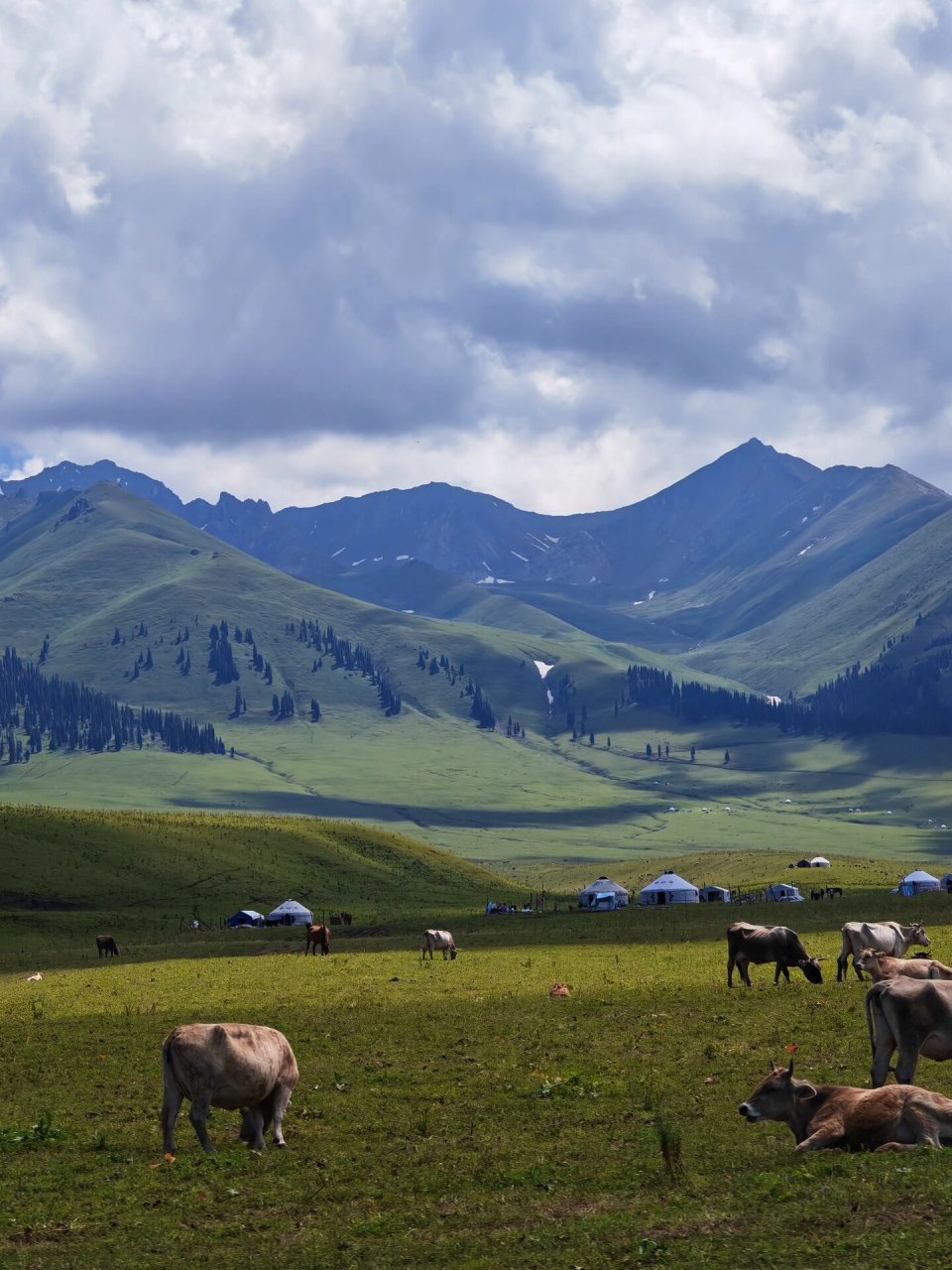 73这里只说自驾门票,景区一天只卖300张票,在微信小程序"智游那拉提