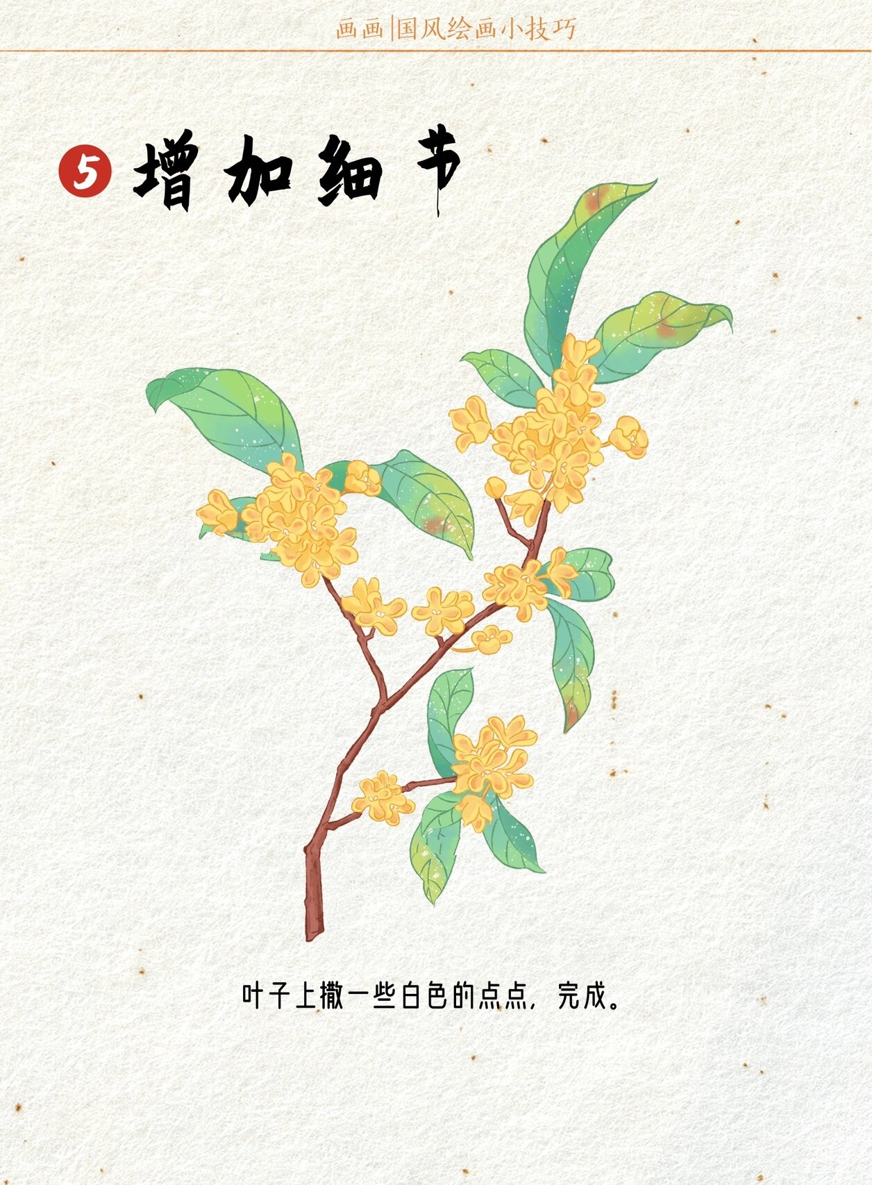 一看就会 | 桂花的画法 |新国风插画教程