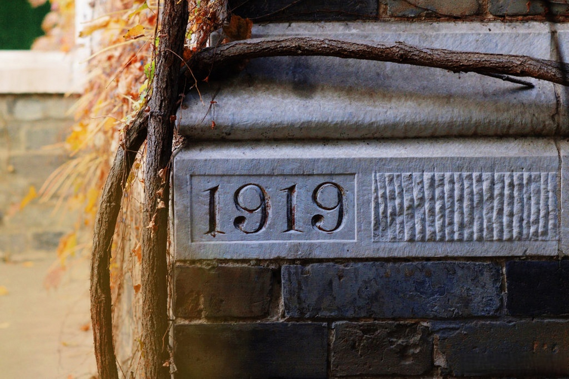 1919_1280