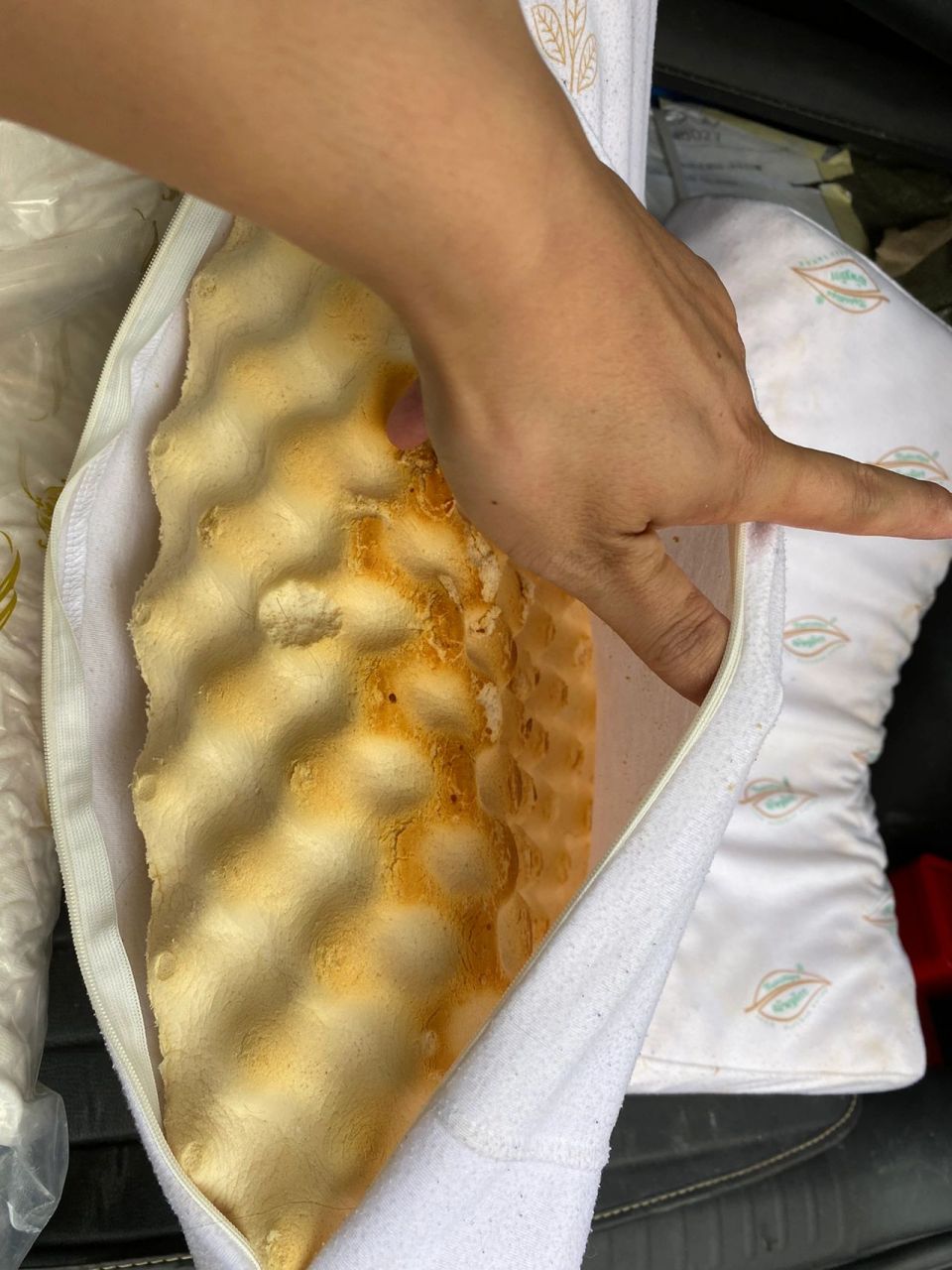 乳胶枕的氧化分解是正常过程,从生产出来就开始了!