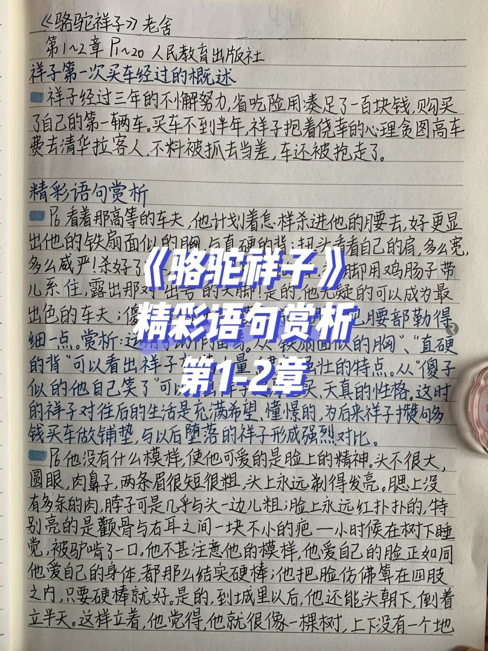 阅读摘抄|《骆驼祥子》第一二章精彩好句赏析 仅供参考