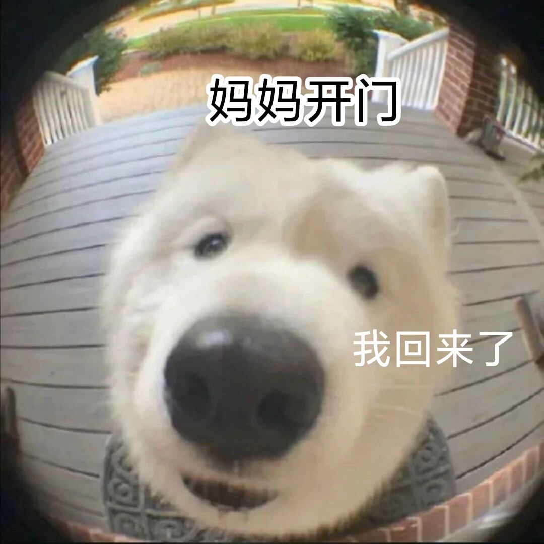 回家叫开门的表情包