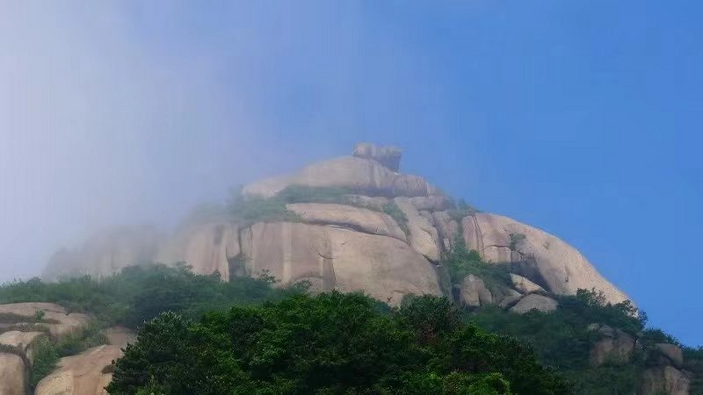 九华山狮子峰 #女子遭九华山野猴袭击获赔16万