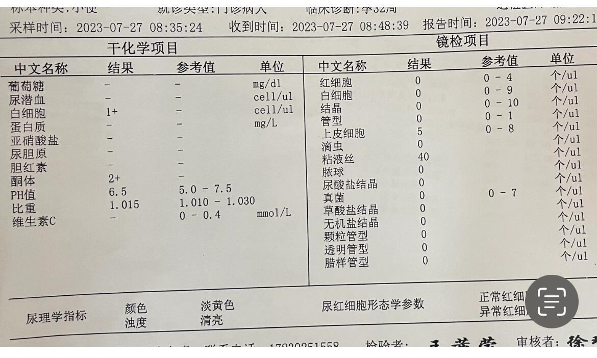 血红蛋白化验单图片图片