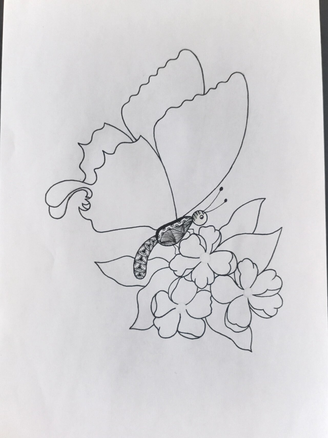 《蝶恋花》线描画绘画过程