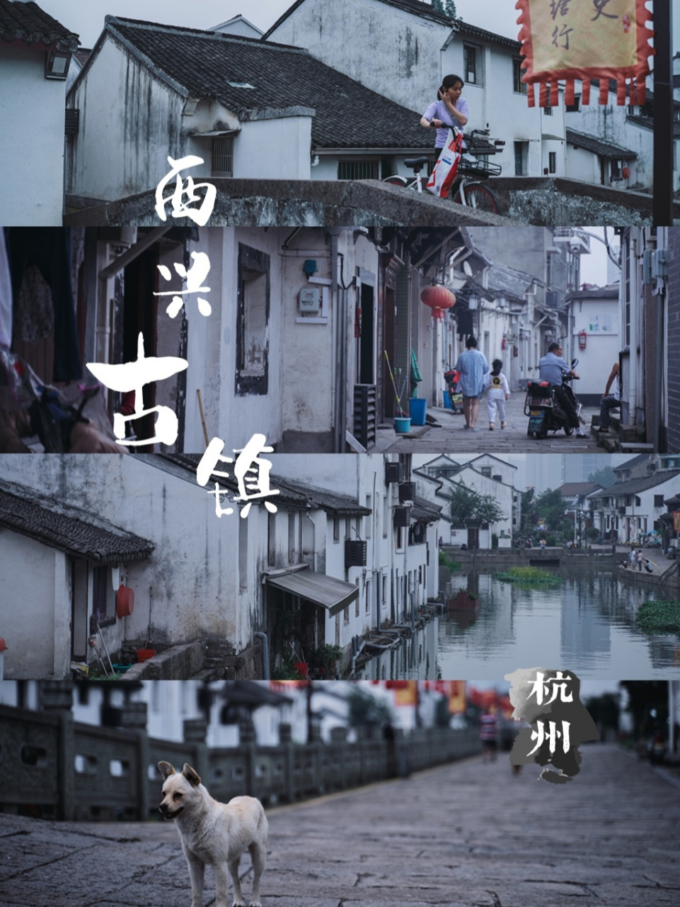 西兴古镇|杭州闹市区藏着的宝藏古镇 95江南忆,最忆是杭州.