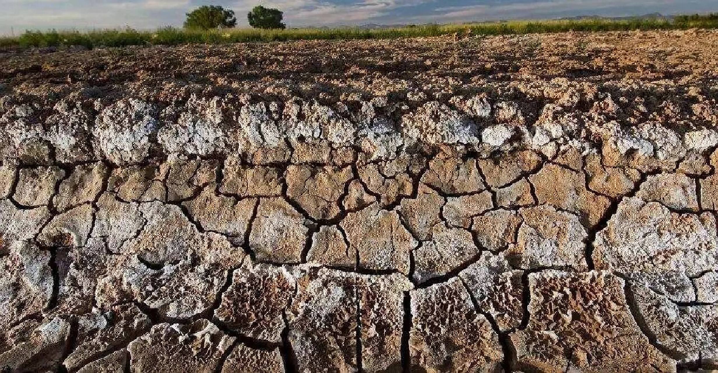 【土壤】土地盐碱化 【重点梳理】 1.