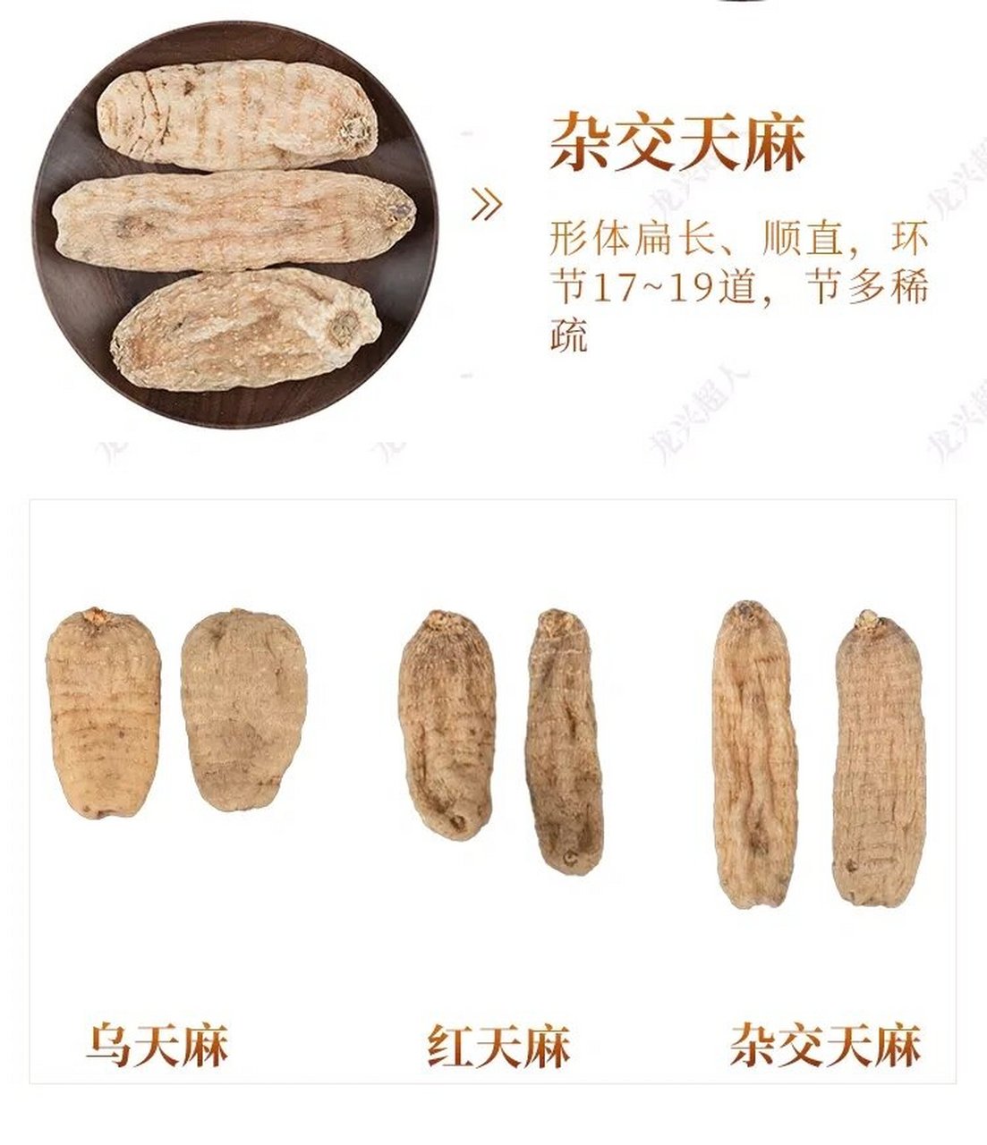的块茎,周铉等根据天麻花的颜色,花茎的颜色,块茎的形状,块茎的含水量