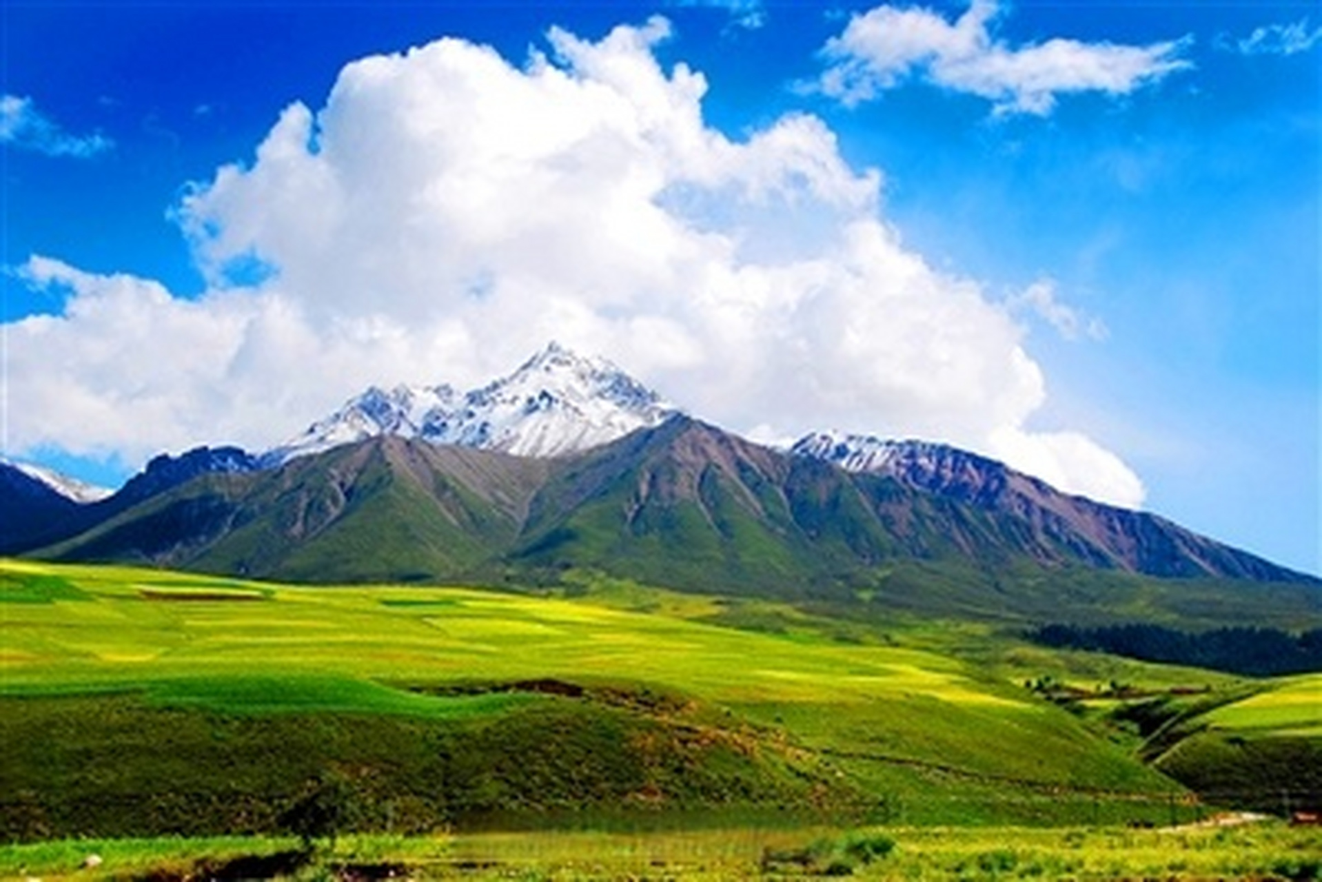 【祁连山国家公园:中国湿岛天然氧吧野生动物天堂】人们常说,此生必去