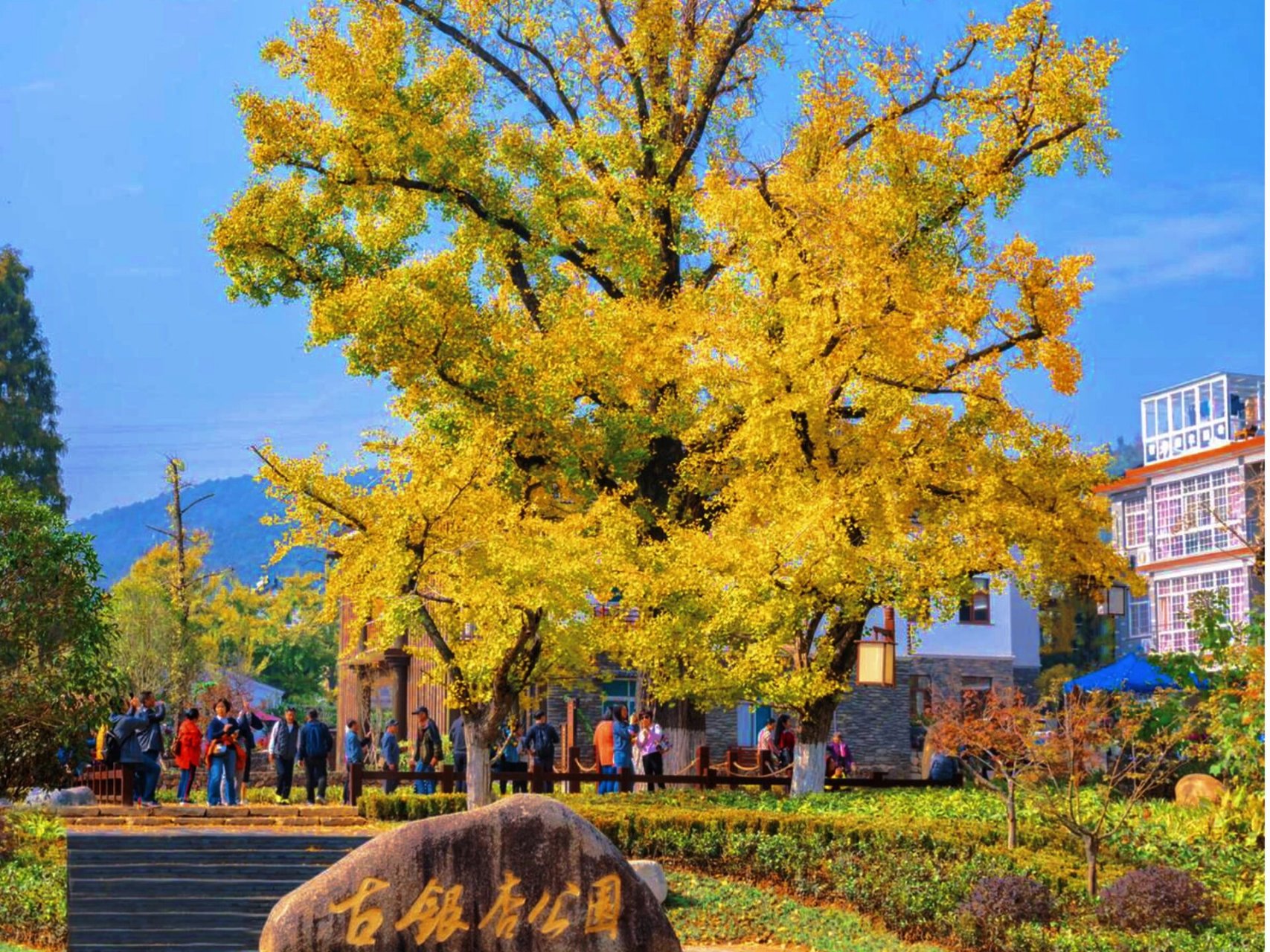 八都岕烧烤图片