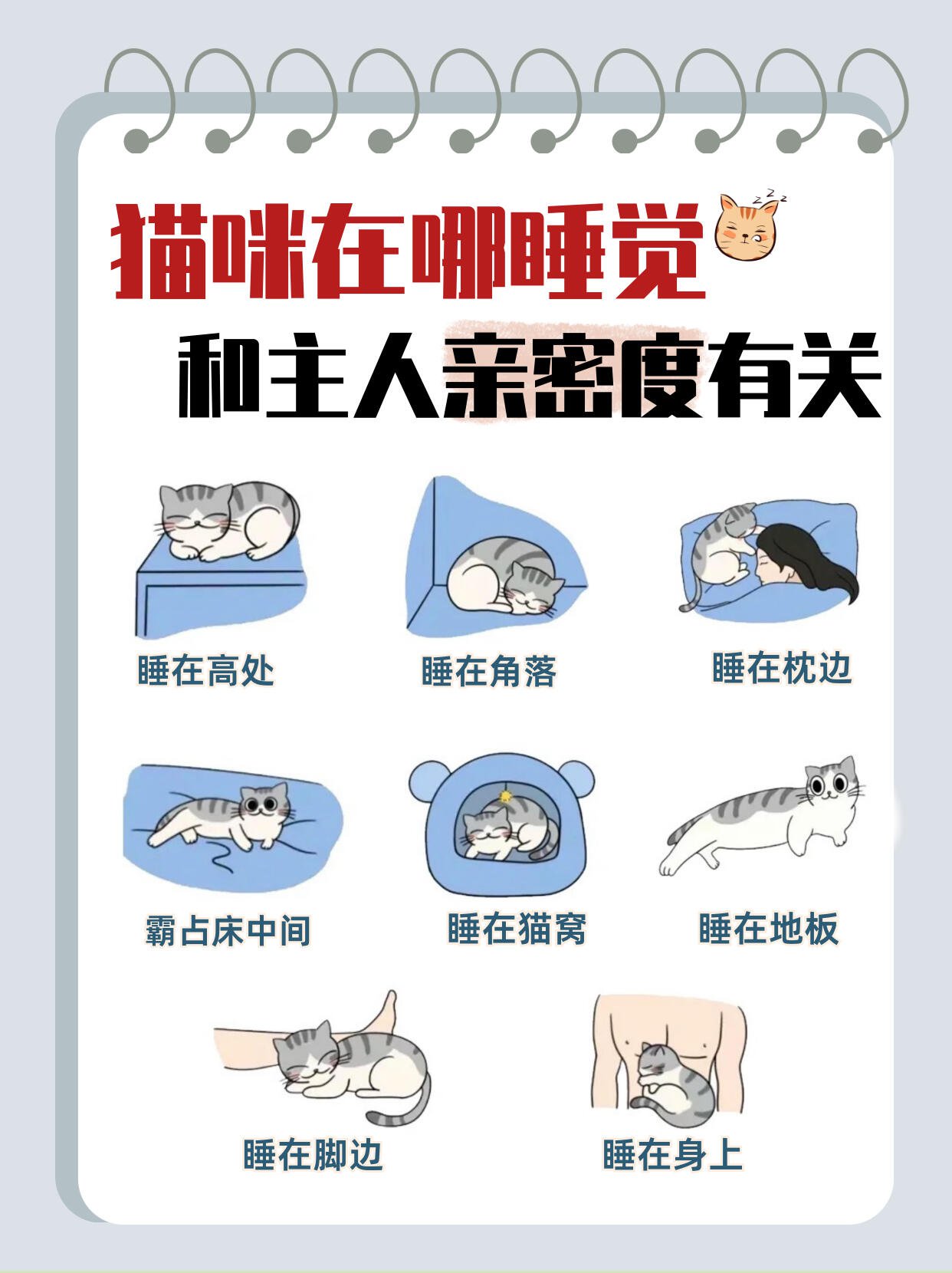 猫为什么喜欢蹭