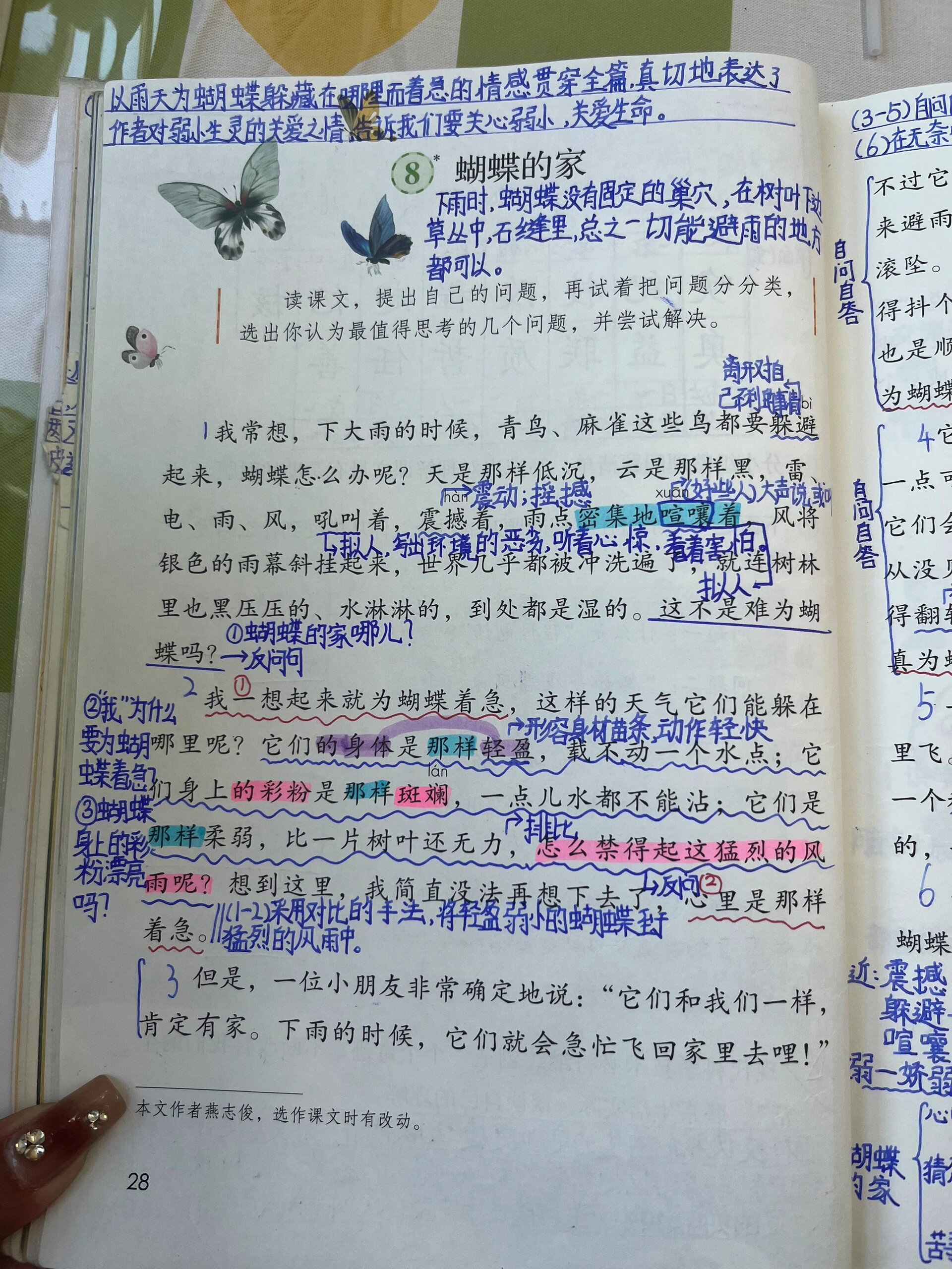 四上《蝴蝶的家》,语文园地二学生笔记