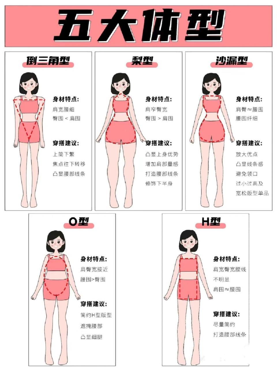 女生体型对比图片