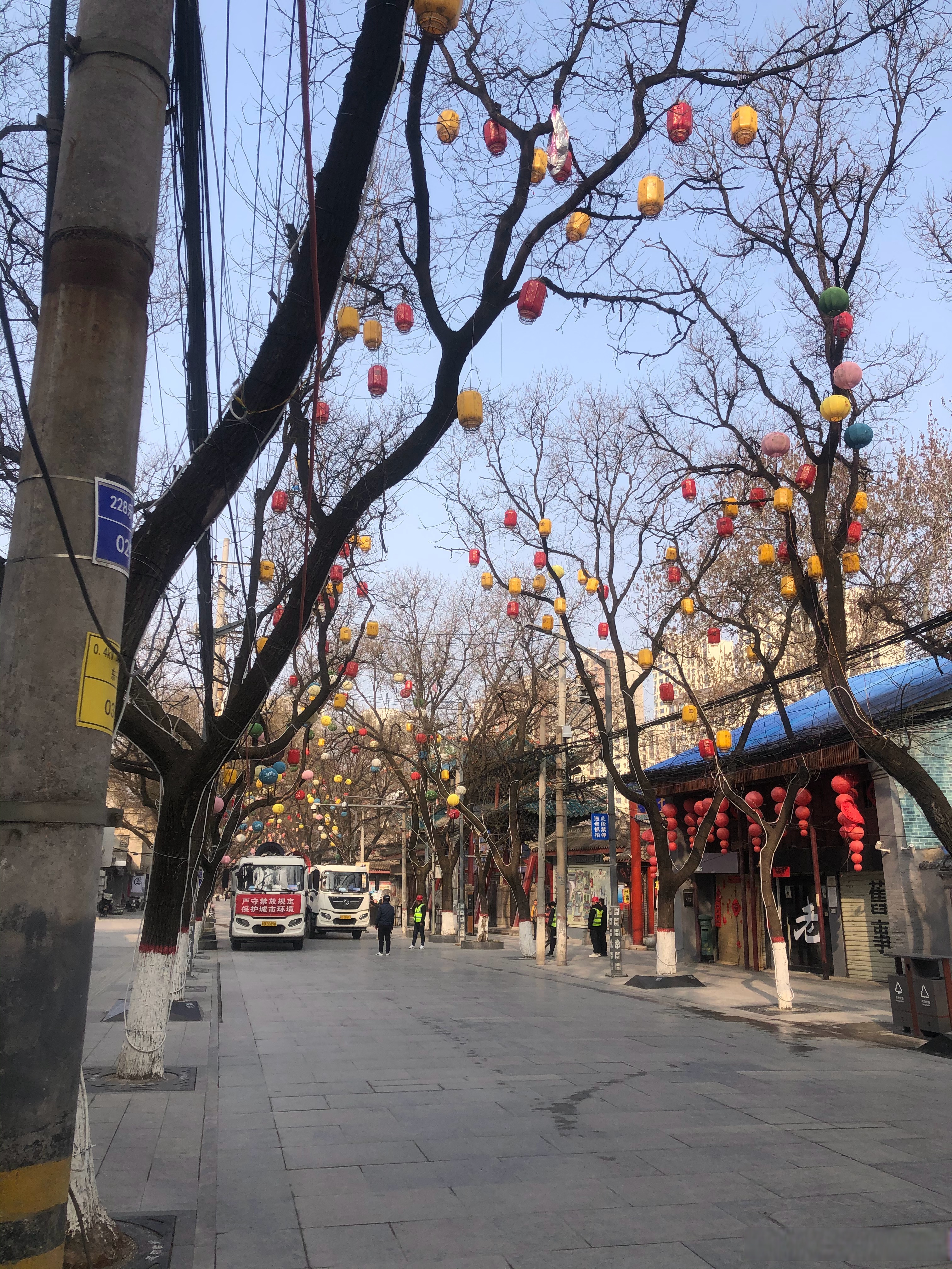 组合,可登极的寥寥无几,能选置茉扑 街照片菏泽市牡丹区双井街图片