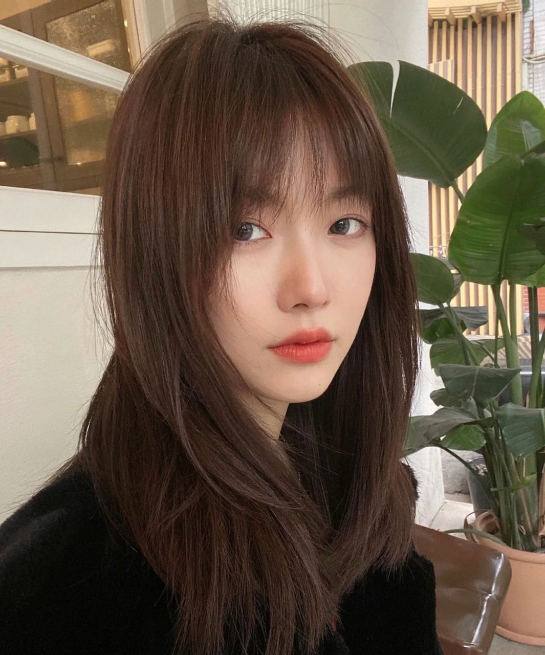 咖啡色 很高兴以文字的形式和大家见面 今天给大家介绍一款不用漂发色