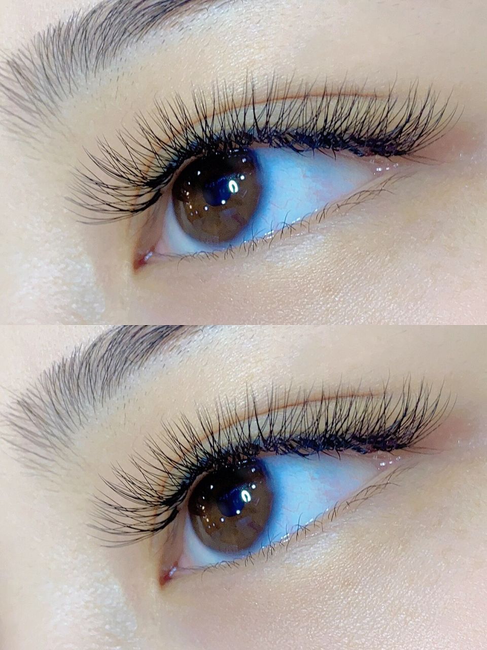 三叶草.睫毛. 给同行的姐妹推荐一款好用得睫毛.