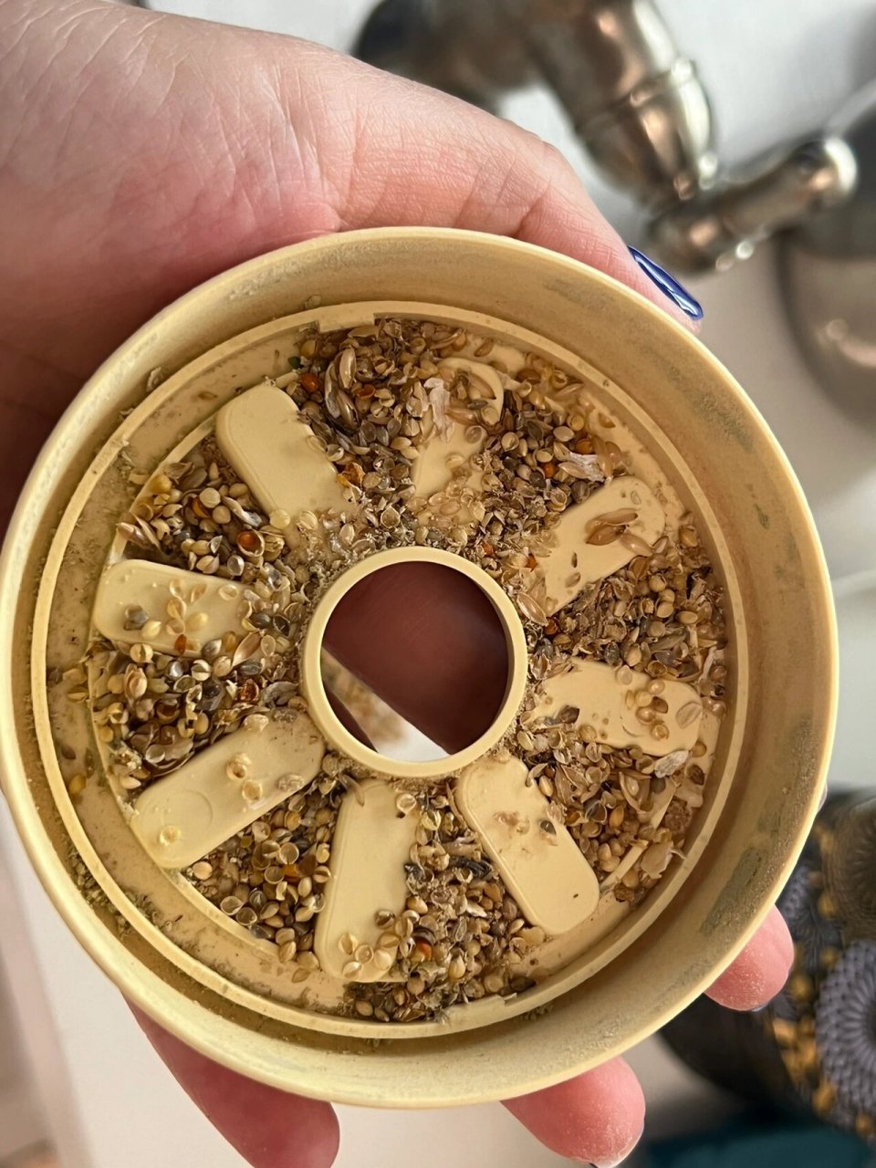 超好用的鸟粮吹壳方法 吹壳真的很解压 方法就是用一台桌面吸尘器 好