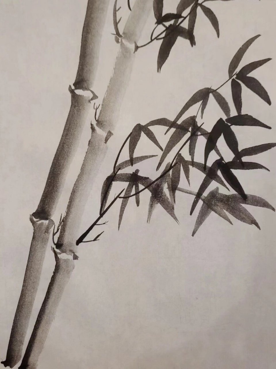 国画 | 零基础学员部分竹子练习 从手抖到将竹竿画的有力挺拔,从竹叶