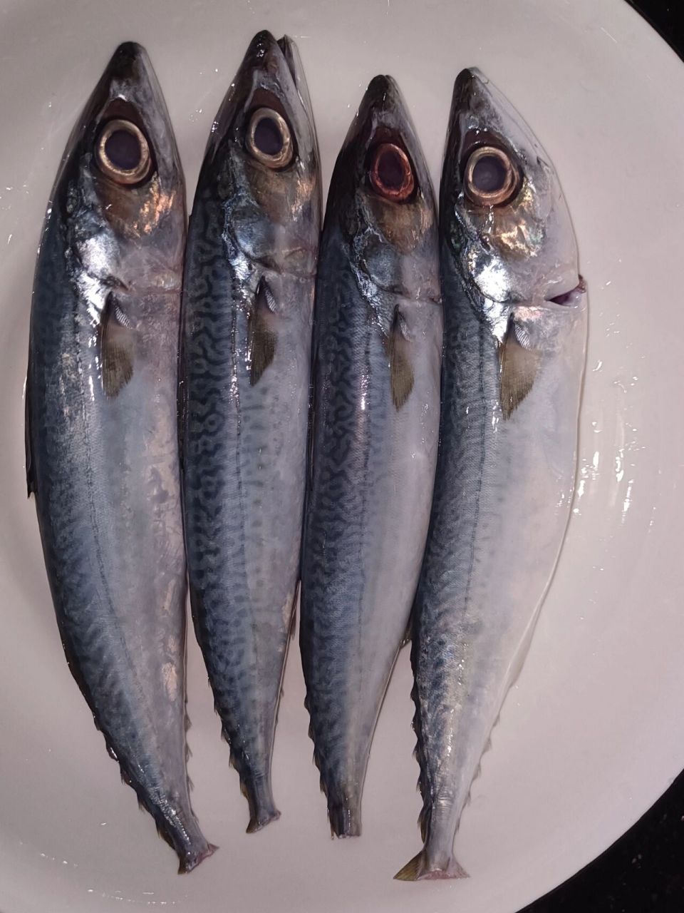 巴浪鱼,我们叫滚子鱼 听说养殖的比较贵,我今天买的六块一斤