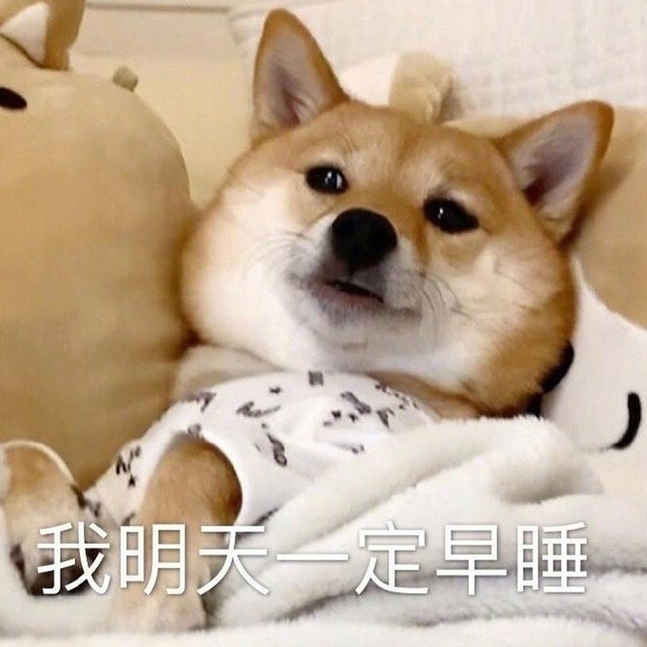 熬夜表情包合集 真的会有人 等一个人 一年又一年吗