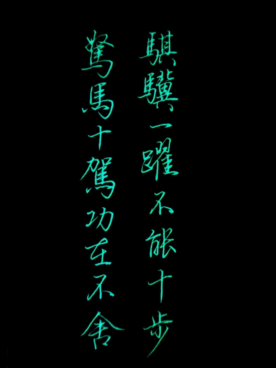 不积跬步无以至千里 硬笔行楷 #写字是一种生活