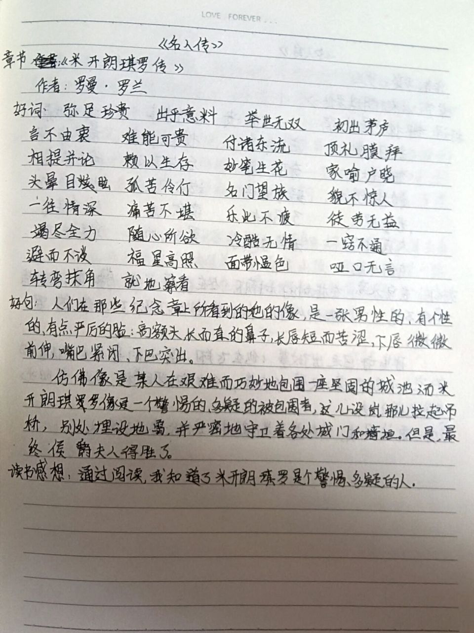 《名人传》读书笔记 《米开朗琪罗传》第五篇,第六篇∽ 	 这字应该