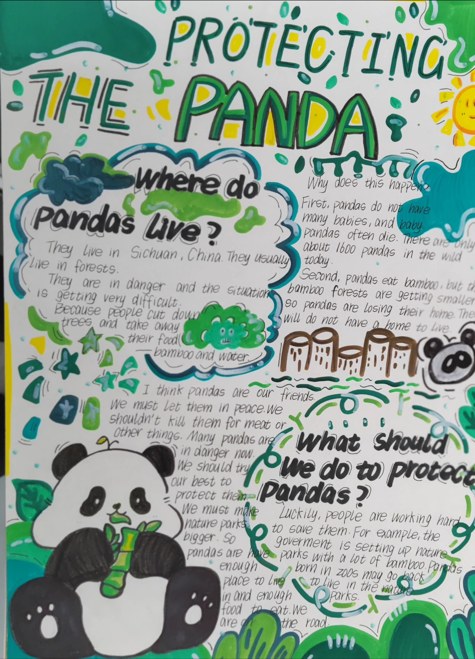 保护熊猫英语手抄报