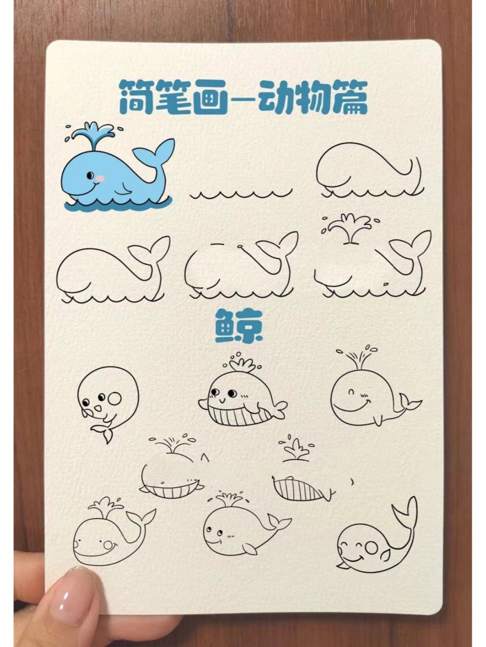 儿童简笔画鲸,步骤,有手就会,小学生必备 鲸鱼来啦95